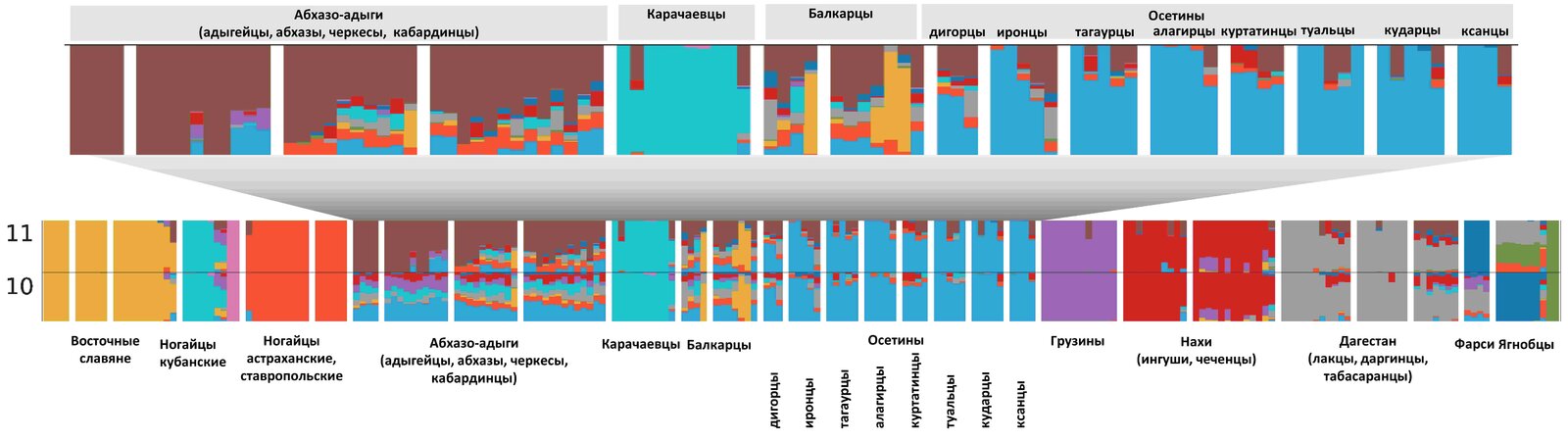 large.Balanovska_Fig.2.jpg.e05f411dc2582