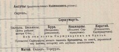 Сарыжомарт.jpg