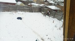 IMG_20221130_133659.jpg