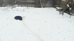 IMG_20221130_133709.jpg