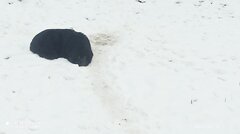 IMG_20221130_133725.jpg