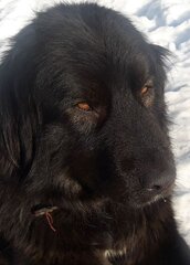 pZlGx7Ha7hdwj0HurceRU0YrJtxXSGwlTffj02c8j_-4oU8Aj-S6lfV62rkEhNSXbOeAQuNOBb_m_ygCS_cUyTAk.jpg