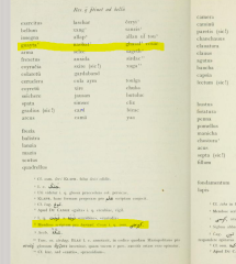 Cosac_kodex-kumanicus.PNG