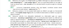 IMG_0133.jpeg