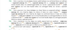 IMG_0134.jpeg