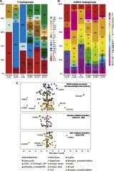 1-s2.0-S0092867420313210-figs2_lrg.jpg