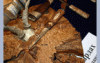 post-2389-1160564218_thumb.gif